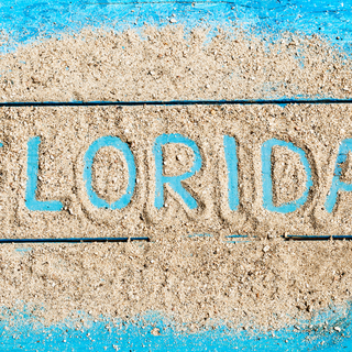 The shape of Florida Map