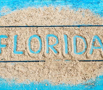 The shape of Florida Map