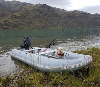 A dog riding on a white inflatable catamaran boat by the lake