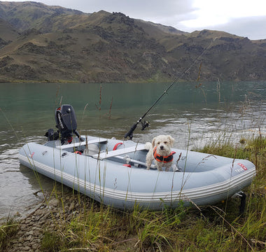 4 Things Your Dog will Love on an Inflatable Catamaran
